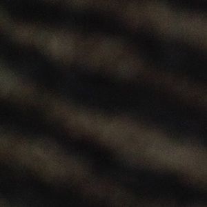 Meet your Posher, Devonte